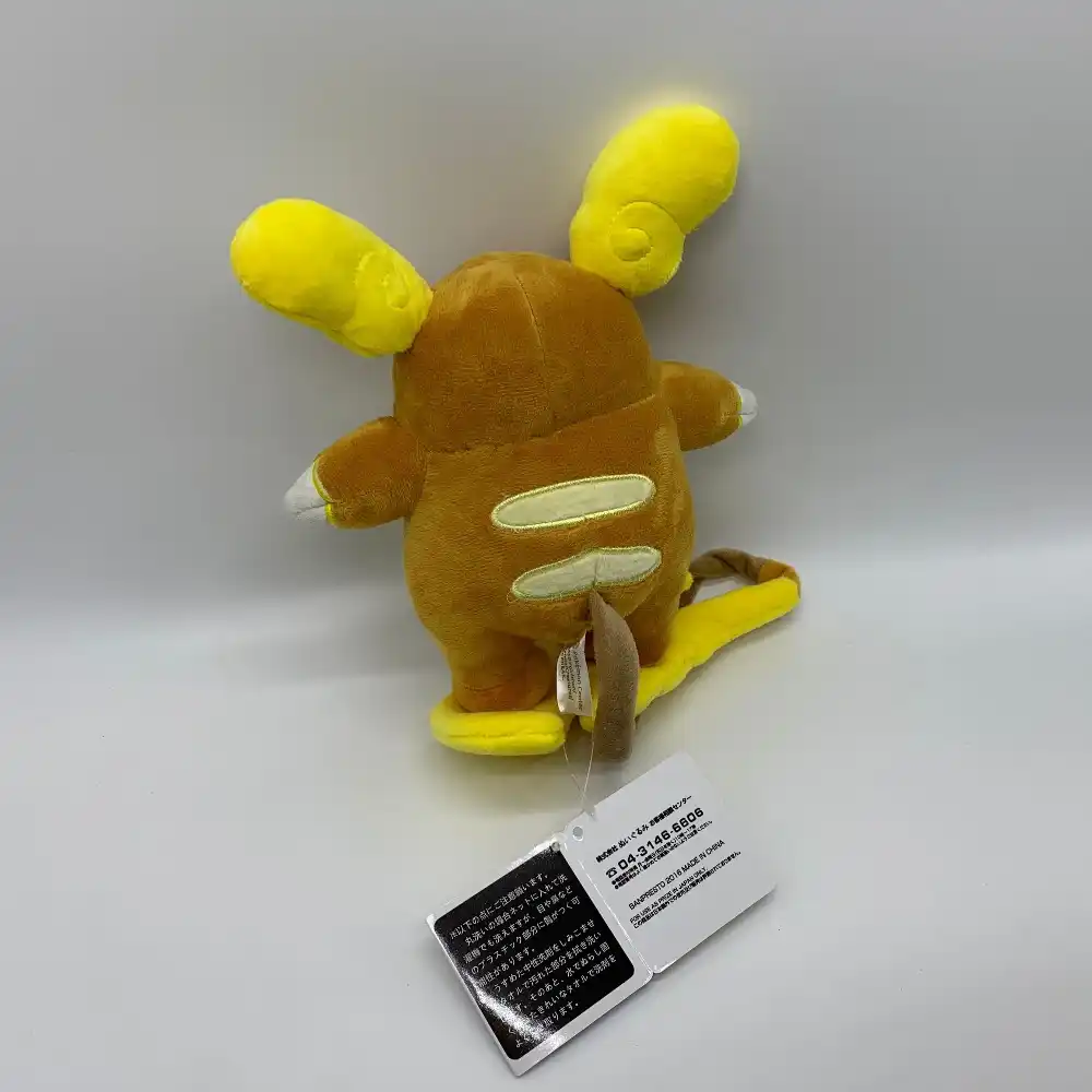 raichu teddy