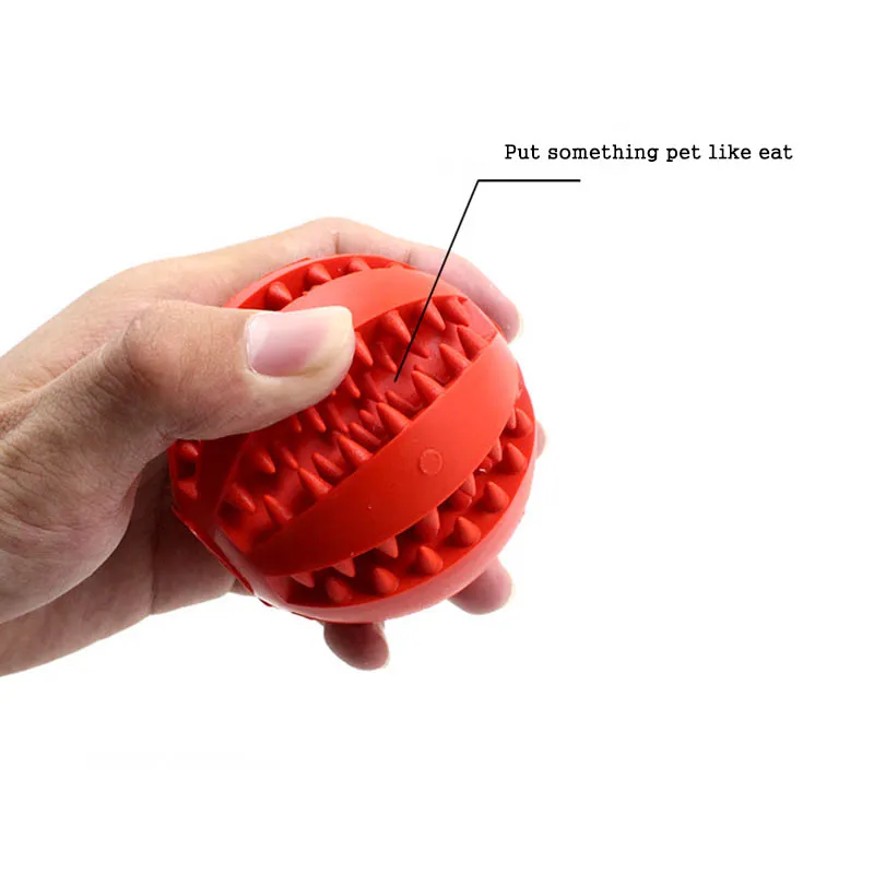 4564840602_1041227635