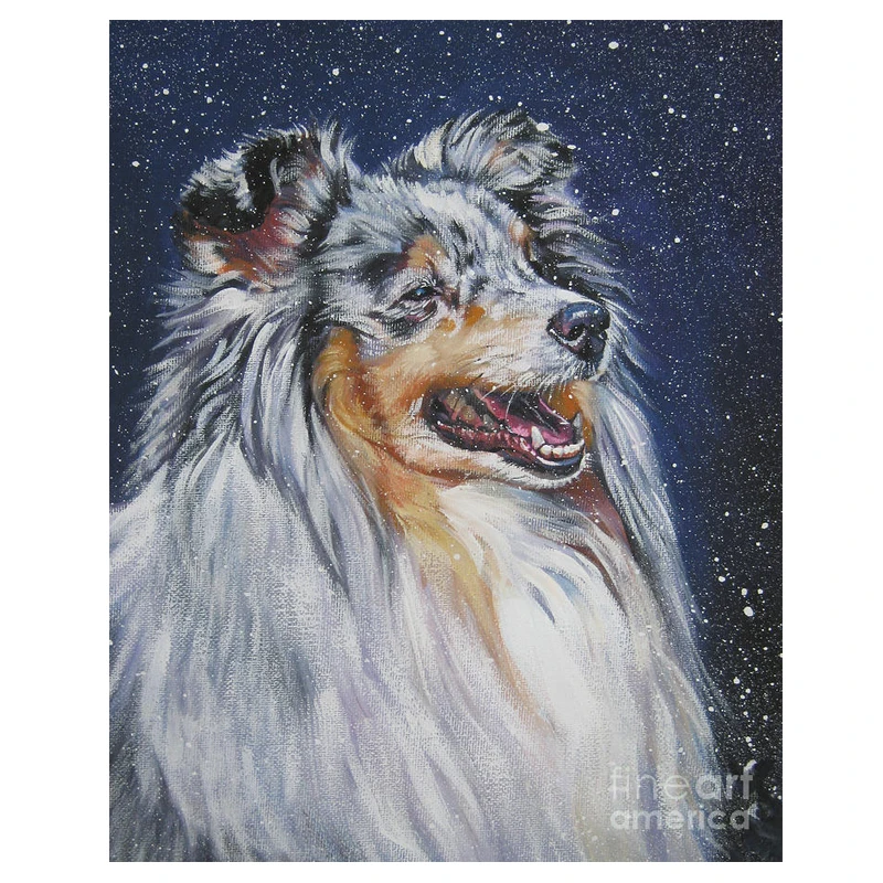 Sheepdog sheltie dog 99