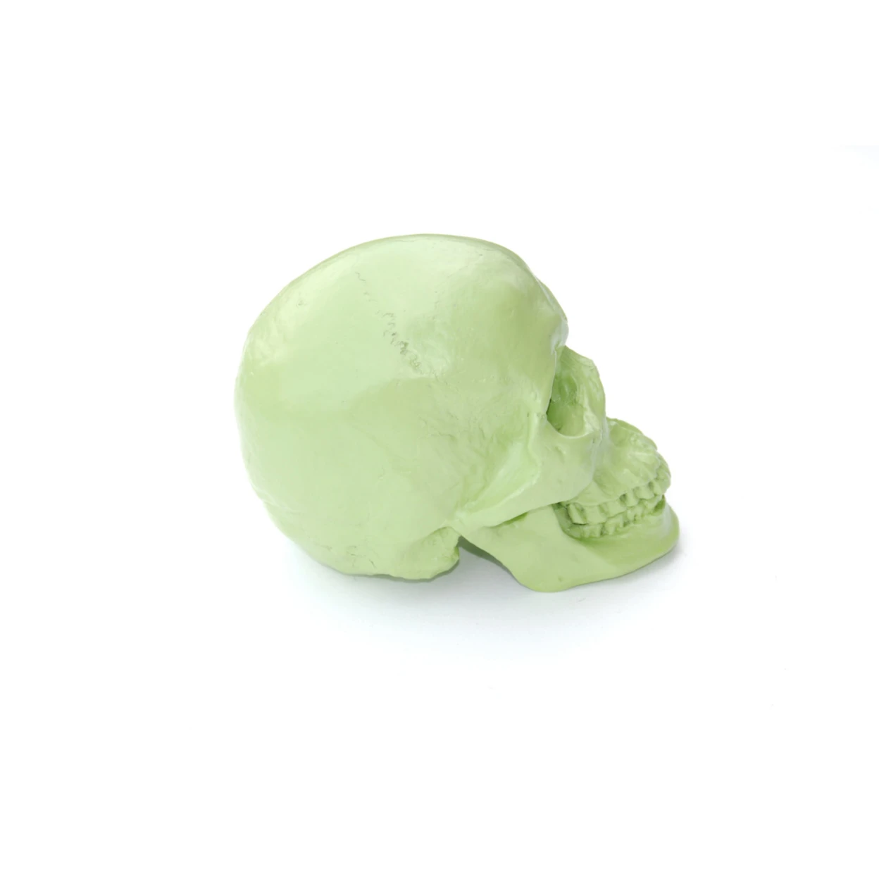 Large - Life Size  Human Anatomy - Faux Apple Green Human Skull - Resin Home Decor - Table Top Skeleton Head  SK32 (2)