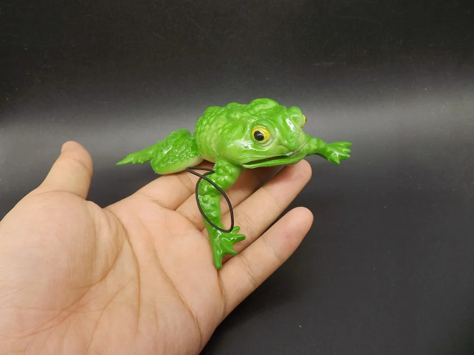 J165-Frog (3)