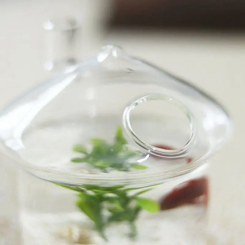 Mushroom-shaped Hanging Glass Planter Vase Rumble Fish Tank Terrarium Container Home Garden Decor 4