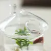 Mushroom-shaped Hanging Glass Planter Vase Rumble Fish Tank Terrarium Container Home Garden Decor 4