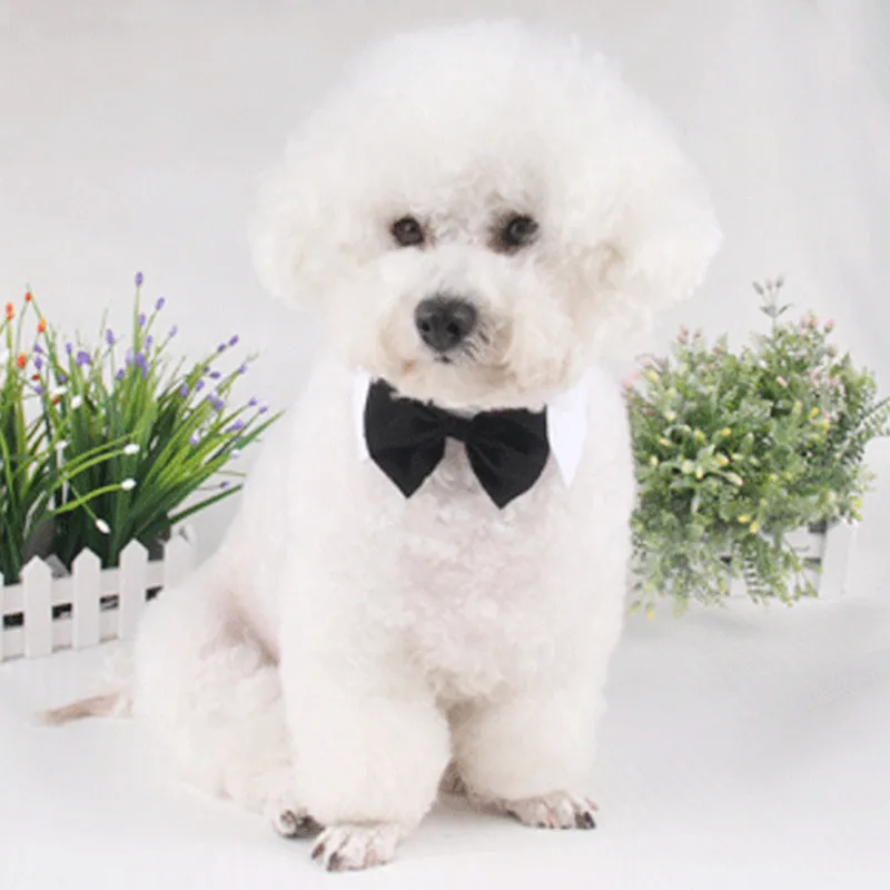 

Fashion Adjustable Bow Tie for Wedding Accessories Dogs Pet Toy Kid Bowknot Tie Necktie party dress up supplies