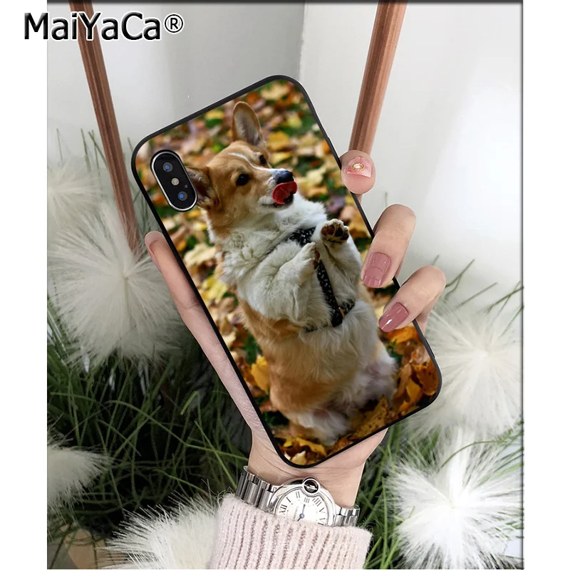 Anime Corgi dog