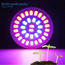 

LED plant growth lights E27 Lamp with Greenhouse cultivation of Light Plant growth led lights Succulent 24Red 11blue SMD5733 5W