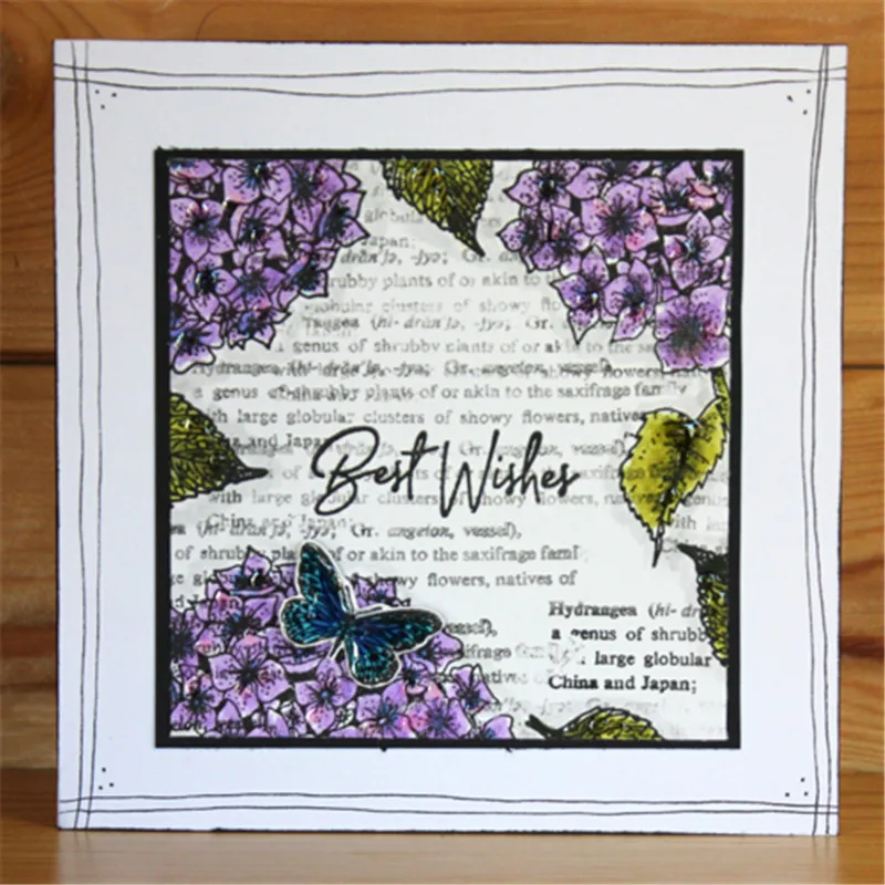 Hydrangea Heidi 4