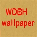WDBH high-end wallpaper Store
