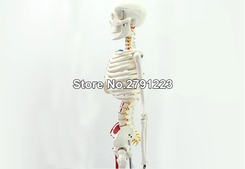 QQ20190131145357