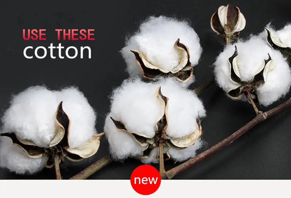 HTB16nDWkiAKL1JjSZFoq6ygCFXah