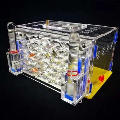 

Ant Nest City D1 Acrylic Ant Works Farm Castle Live Ant Viewing Habitat Villa DIY Educational Toys 2 Water Tower Ants Dreamworks