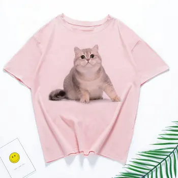 

Kawaii Cute Style British shorthair Cat Cat Print T-shirt Summer Novelty Pink T Shirt Women Harajuku New Short Sleeve Tops Size