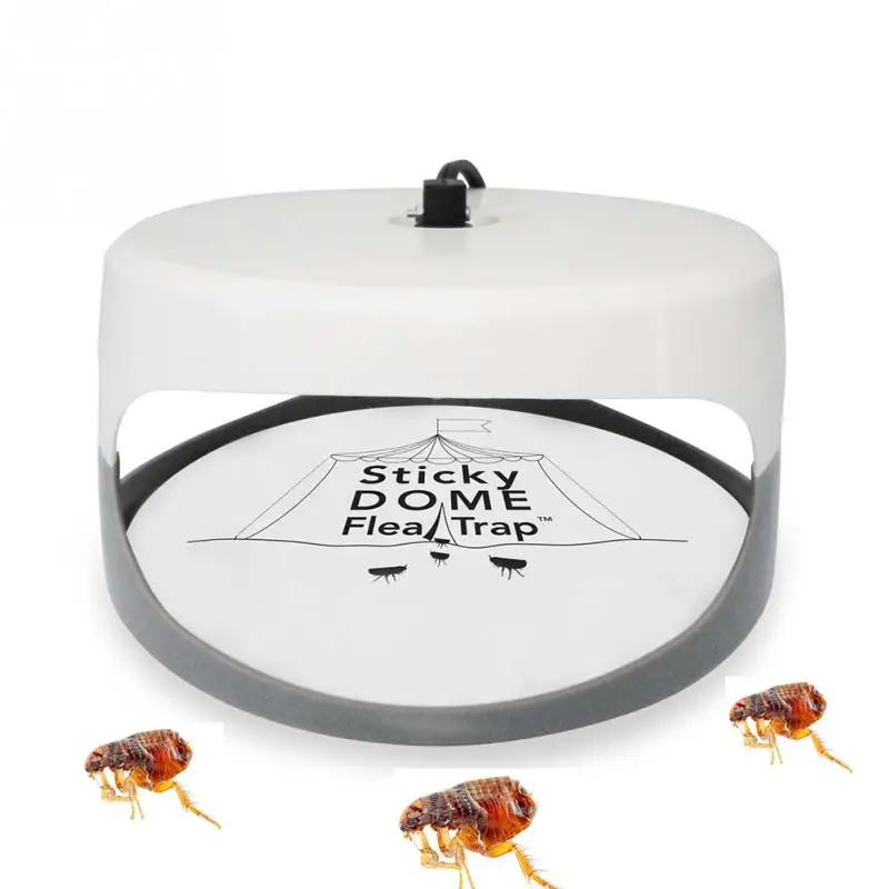 

New Sticky Flea Killer Trap Lamp Household Non-toxic Bug Control For Insect Killer lamp Home Using Pet Flea Eliminate Tool