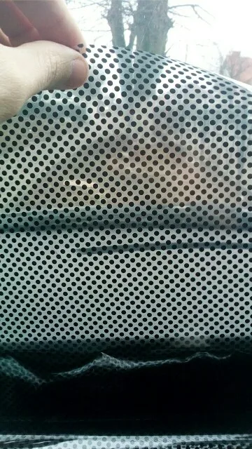 One-Way Perforated Vinyl Privacy Window Film Adhesive Glass Wrap Roll 1ft x 54" 
