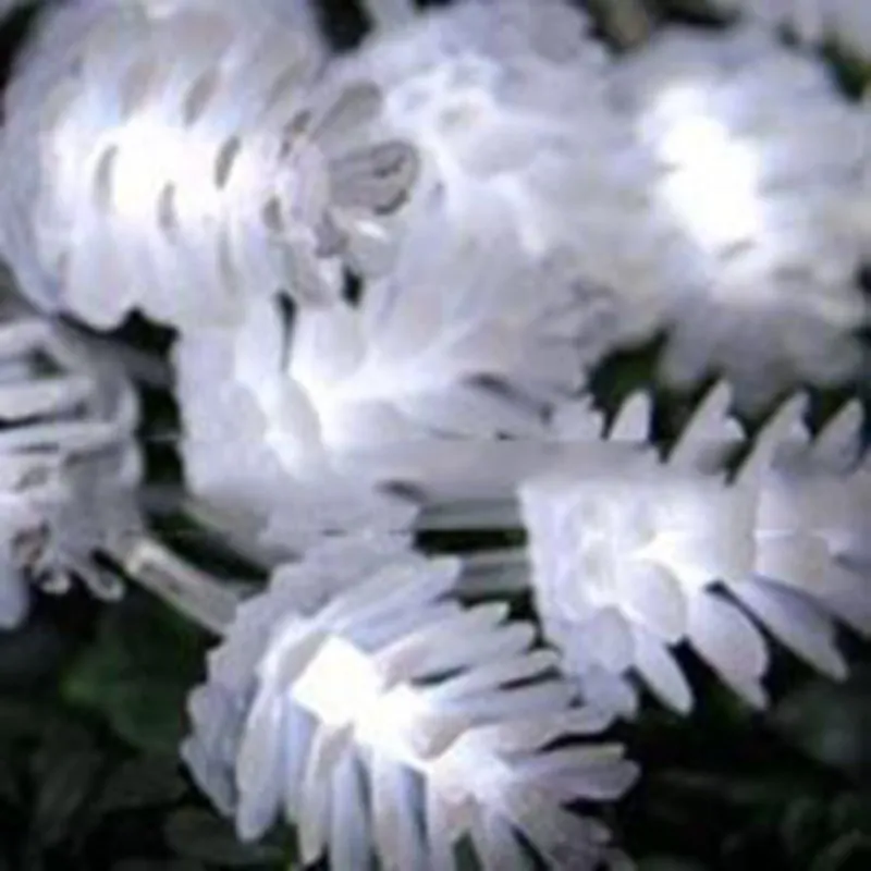 USB Powered 2M 3M 5M 10M Pinecone LED String Lights Christmas Holiday Wedding Party New Year High Court Dormitory Decoration USB Powered 2M 3M 5M 10M Pinecone LED String Lights Christmas Holiday Wedding Party New Year High Court Dormitory Decoration