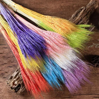 

50Pcs/lot DIY Craft Home Decor Natural Dried Flower Wheat Ears Bouquet for Wedding Party Decoration Scrapbook Wheat Branch Props