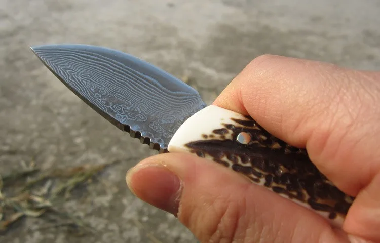 Мини Портативный дамасский стальной нож маленький прямой нож Изысканная ручка из бычьего рога EDC инструменты с хорошей кожаной оболочкой