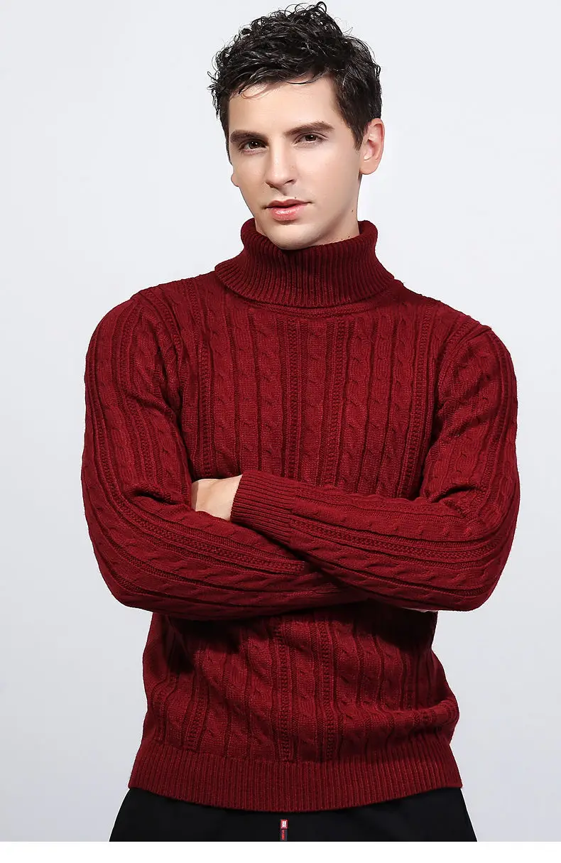 3Colors Turtleneck Sweater Pullovers Men Thick knitted Sweater Jumpers Man Winter Warm Acrylic Male knitwear Autumn Tmall Brand-14