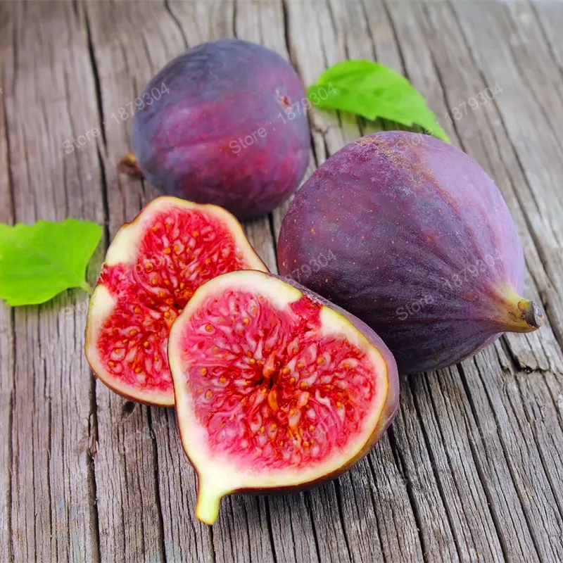 50pcs figs flores Sweet Honey fruit plantas Fig Tree bonsai plant rare
