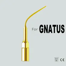 PG3T, GNATUS DENTALES PUNTA, PERIODONCIA TIP, TITANIO PLATEADO, PERIODONCIA, PERIO, CUIDADO DENTAL, HIGIENE ORAL