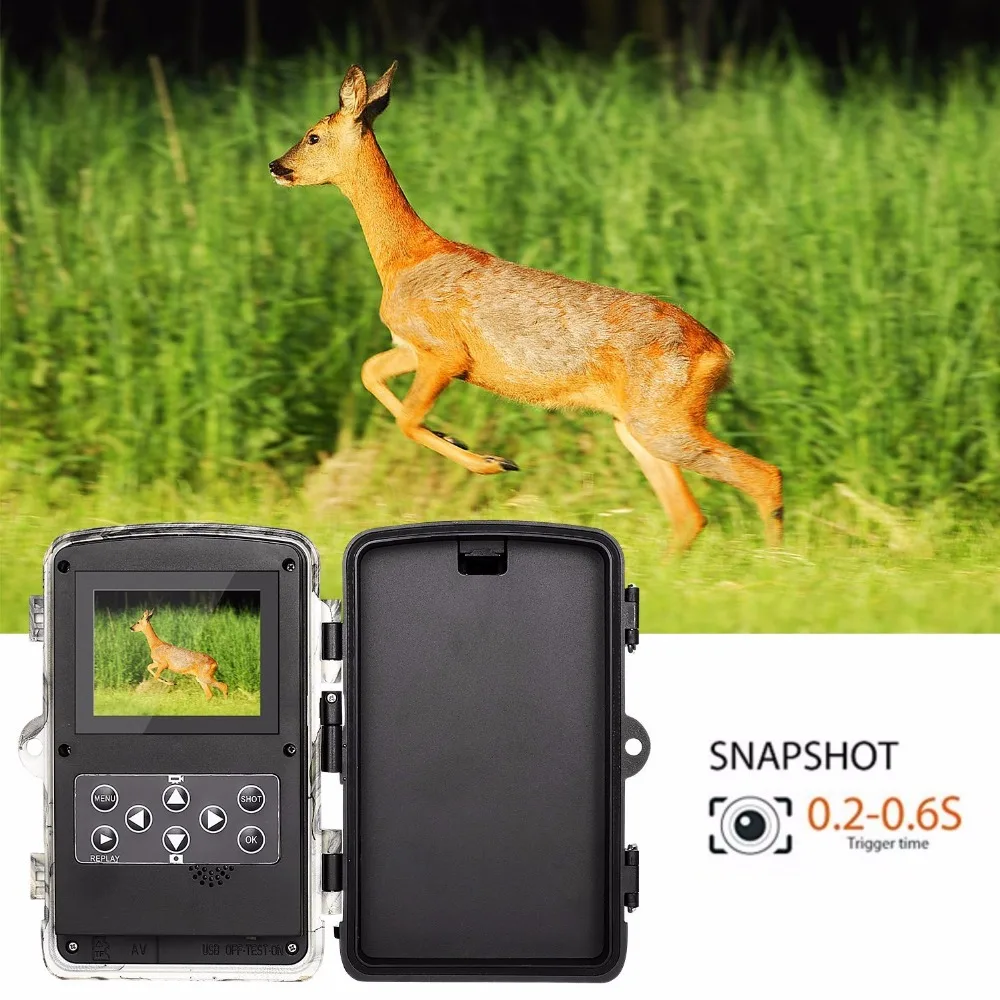 Hunting camera photo traps wildlife (7)