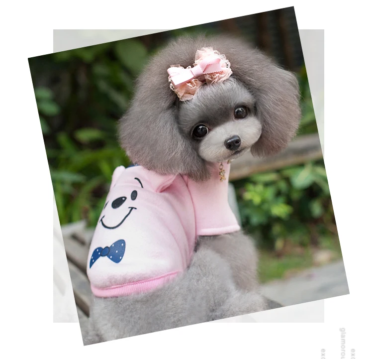 winnie the pooh dog sweater