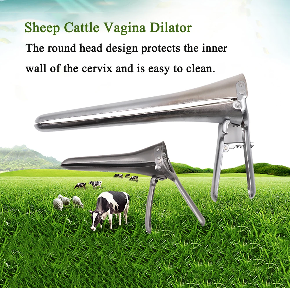 Vaginal speculum cattle sheep cow goat dilator artificial insemination equipment veterinary instrument farming animals