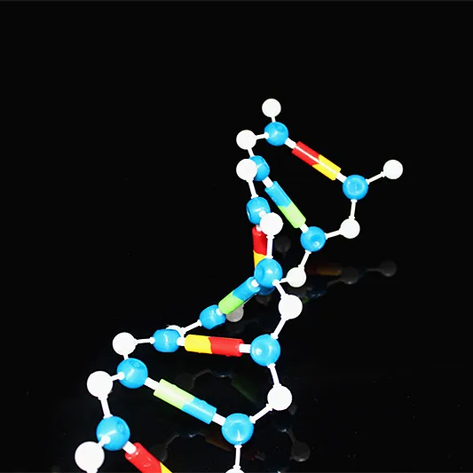 Набор моделей для анализа крови биологические молекулярные модели двухспиральная молекулярная структура модель дезоксирибонуклеиновая кислота 10 слоев обучающая посуда