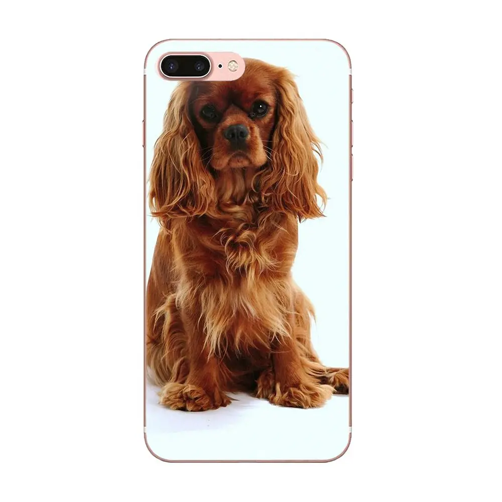 Щенки Bixedx Cavalier King Charles Spaniel для Huawei G7 Y6 II Y7 Xiaomi Redmi Note 2 3 5 Mi 4 4C 4I 5S 5X 6X