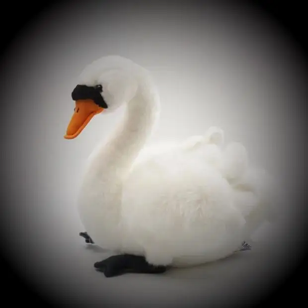 

Original Black Swan Bird White Swan Simulation Animal Stuff Animal Plush Toy Doll Children Birthday Gift