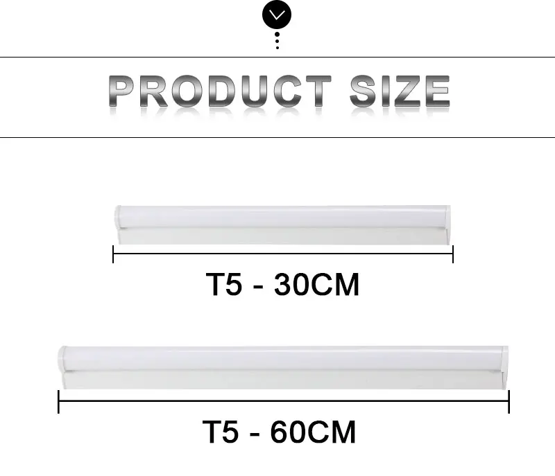 T5_11