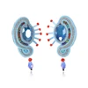 Pendientes colgantes de cristal étnico para mujer, joyería de moda, joyería femenina de Soutache hecha a mano, cuentas de arroz, decoración, pendientes de gota entrelazados ► Foto 1/6