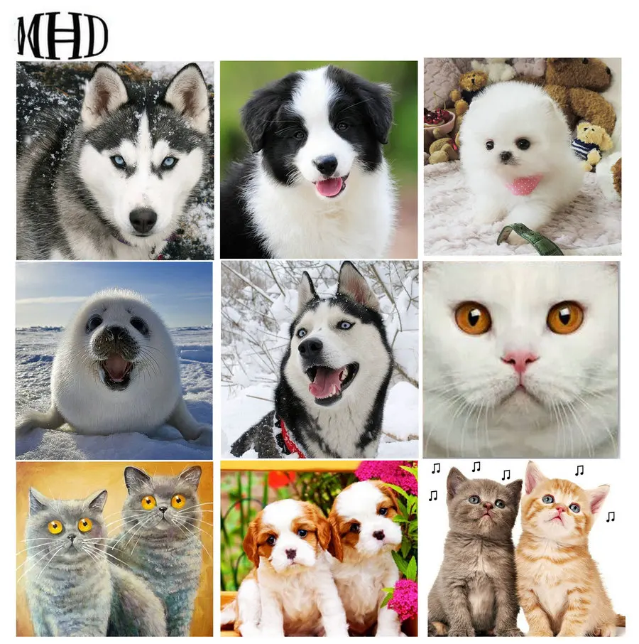 

Full Square Round Drilling Animals 5d diy Diamonds Painting Cats Dogs Wolf Seals Diamond Embroidery 3D Diamond Cross Stitch new