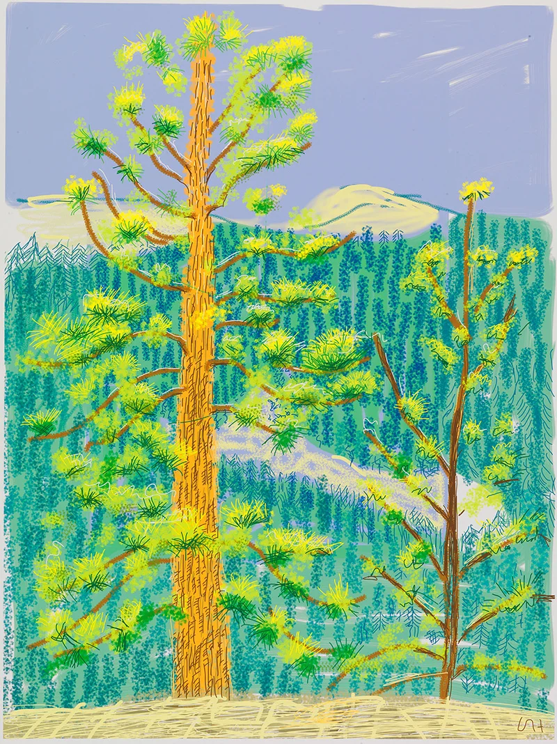2010Yosemite National Park.Untitled.No.08