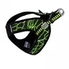 V8-harness Green