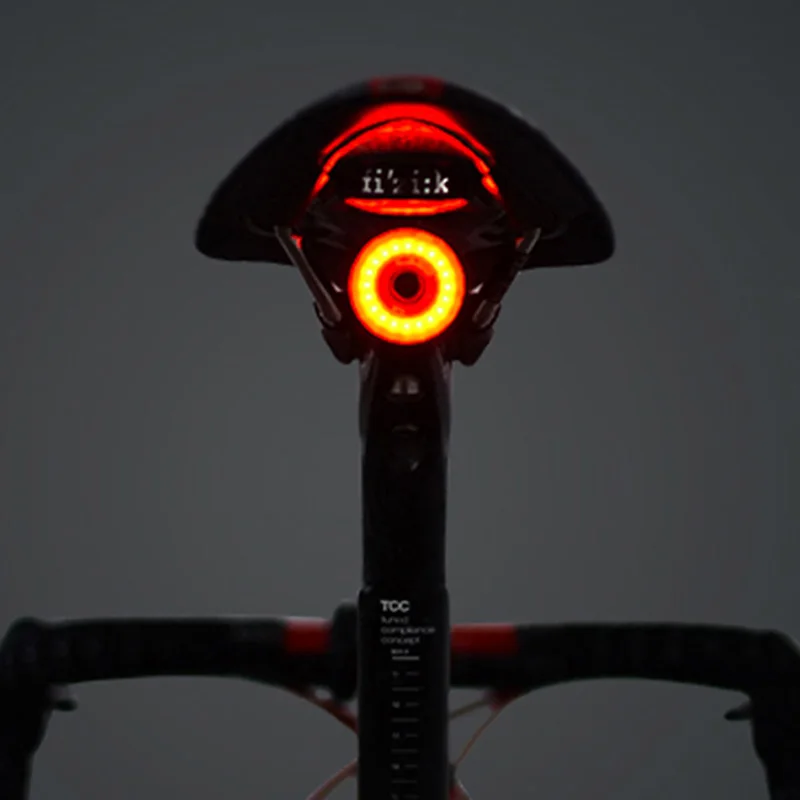 Sale Xlite100 Led lantern Bicycle Tail Light Smart Sensor Brake Signal Lamp MTB Road Rear Bike Back Tail Running Lights Usb charging 21