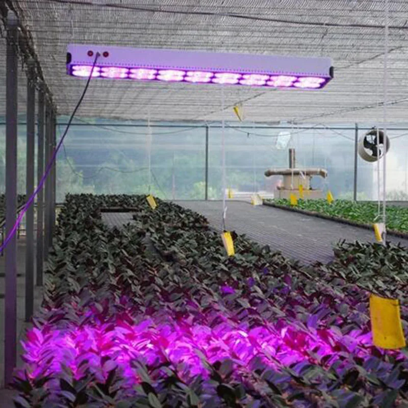 Beylsion 1350W Apollo 18 270PCS LEDS Plant Growing Light Lamp Full Spectrum Red+Blue+White+UV+IR AC85~265V For Medical Plants (8)