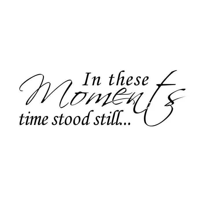 In These Moments Time Stood Still Wall Quote Words Decals PVC Sticker