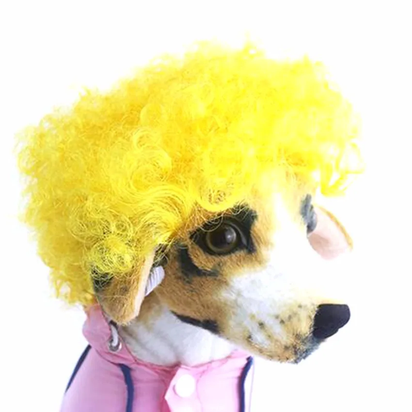 petwig907