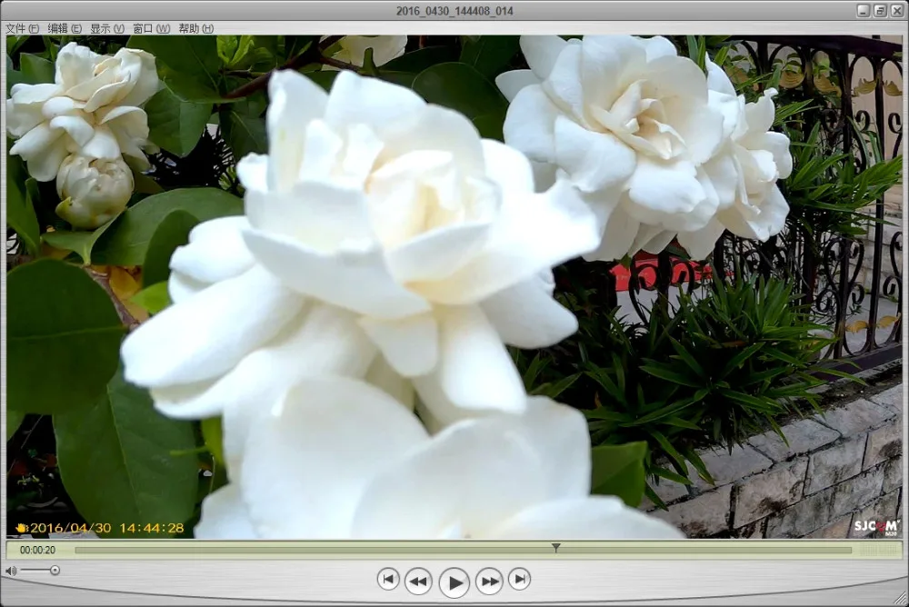 Original SJCAM M20 Wifi Gyro Sport Action Camera HD 2160P 16MP 4K Waterproof DV Bluetooth watch self timer lever remote control