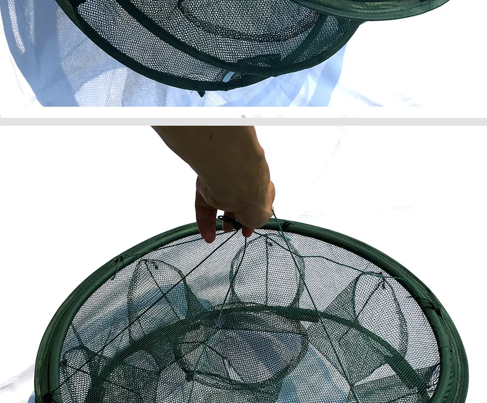 China fish squid Suppliers