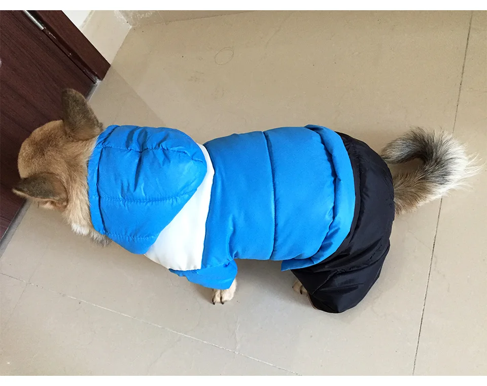 PETASIA New Winter Dog Clothes 329