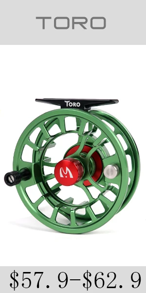 toro1