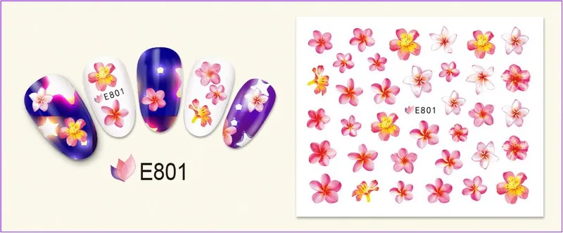 E801