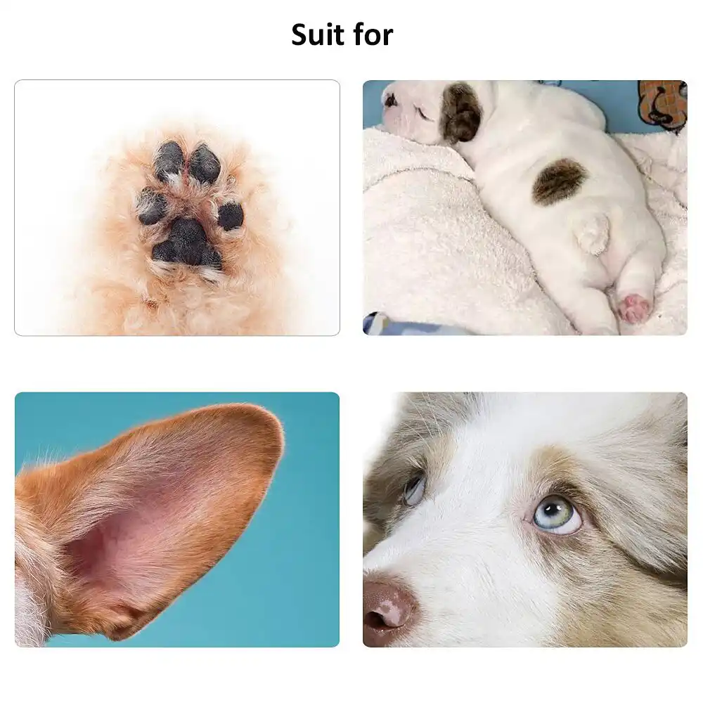 Professional Pet Hair Grooming Local Shaver Dog Hair Trimmer Usb
