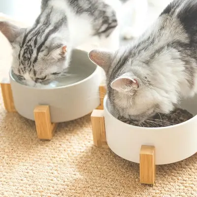 Кота и миска для кота собаки из нержавеющей стали керамические полка чаши Миски