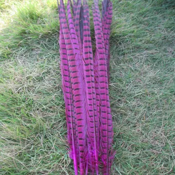 

Wholesale 100 pcs beautiful rose Pheasant Feather 16-18 inches 40-45 cm free shipping