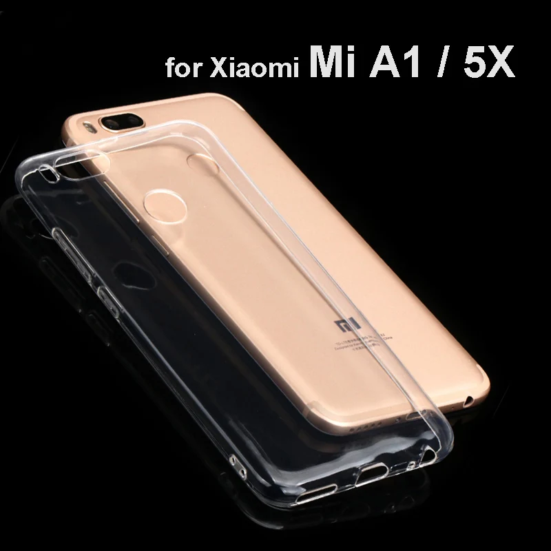 5X (1)