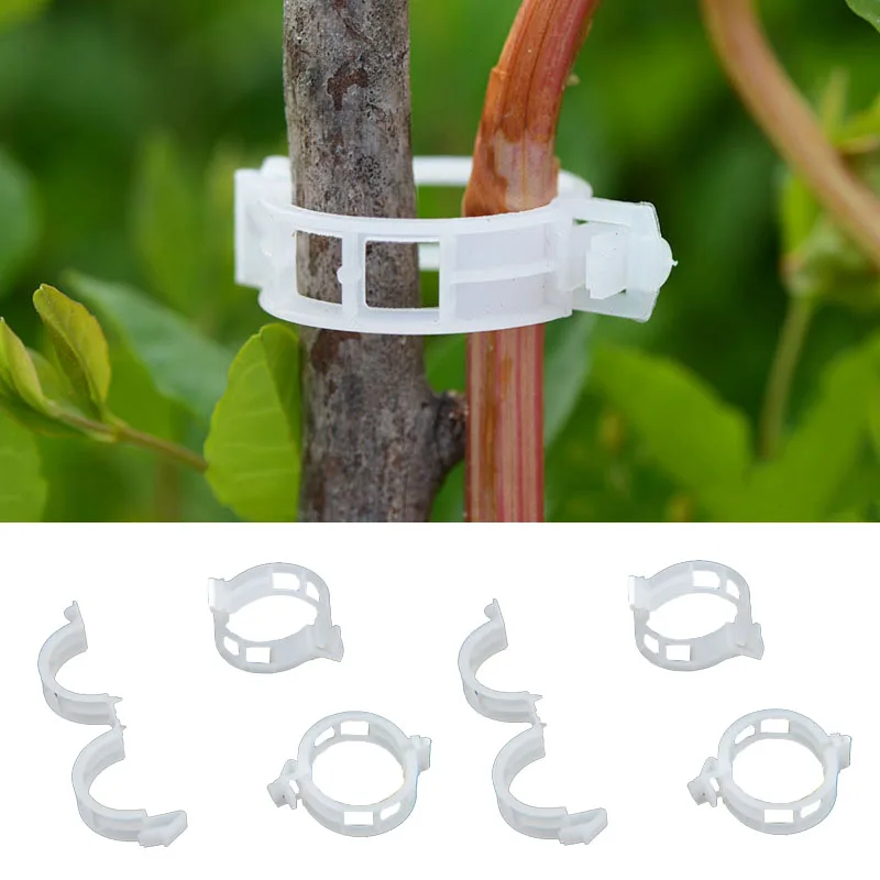 

50pcs/100pcs Durable 30mm Plastic Plant Support Clips For Types Plants Hanging Vine Garden Greenhouse Vegetables Garden Ornament