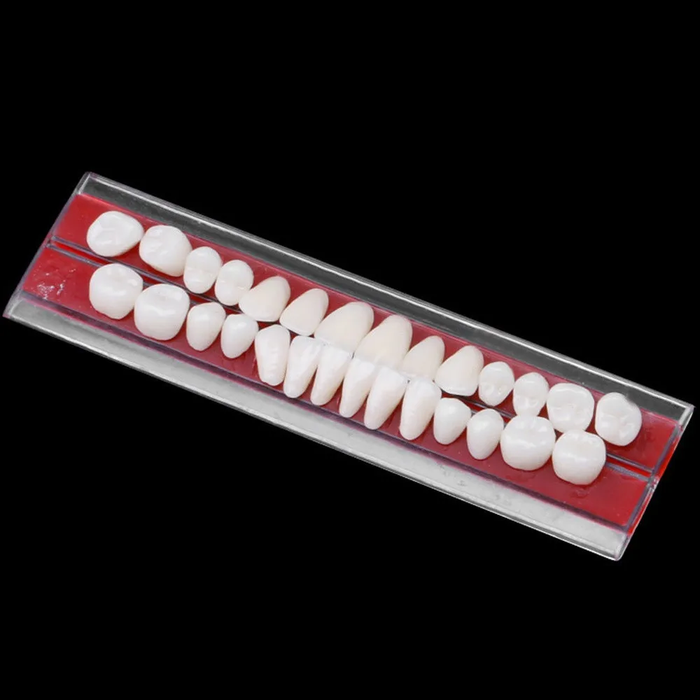 

High Quality 24pcs/set Resin Teeth Model Durable Dental Materials Dentures Colors Tooth Shade Guide Teeth Model Teach CPDZ8C15